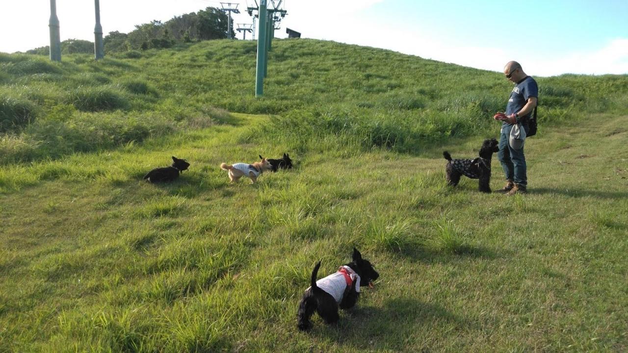 ワンコと泊まるジャスミンクリーク Hotel Toyooka  Buitenkant foto